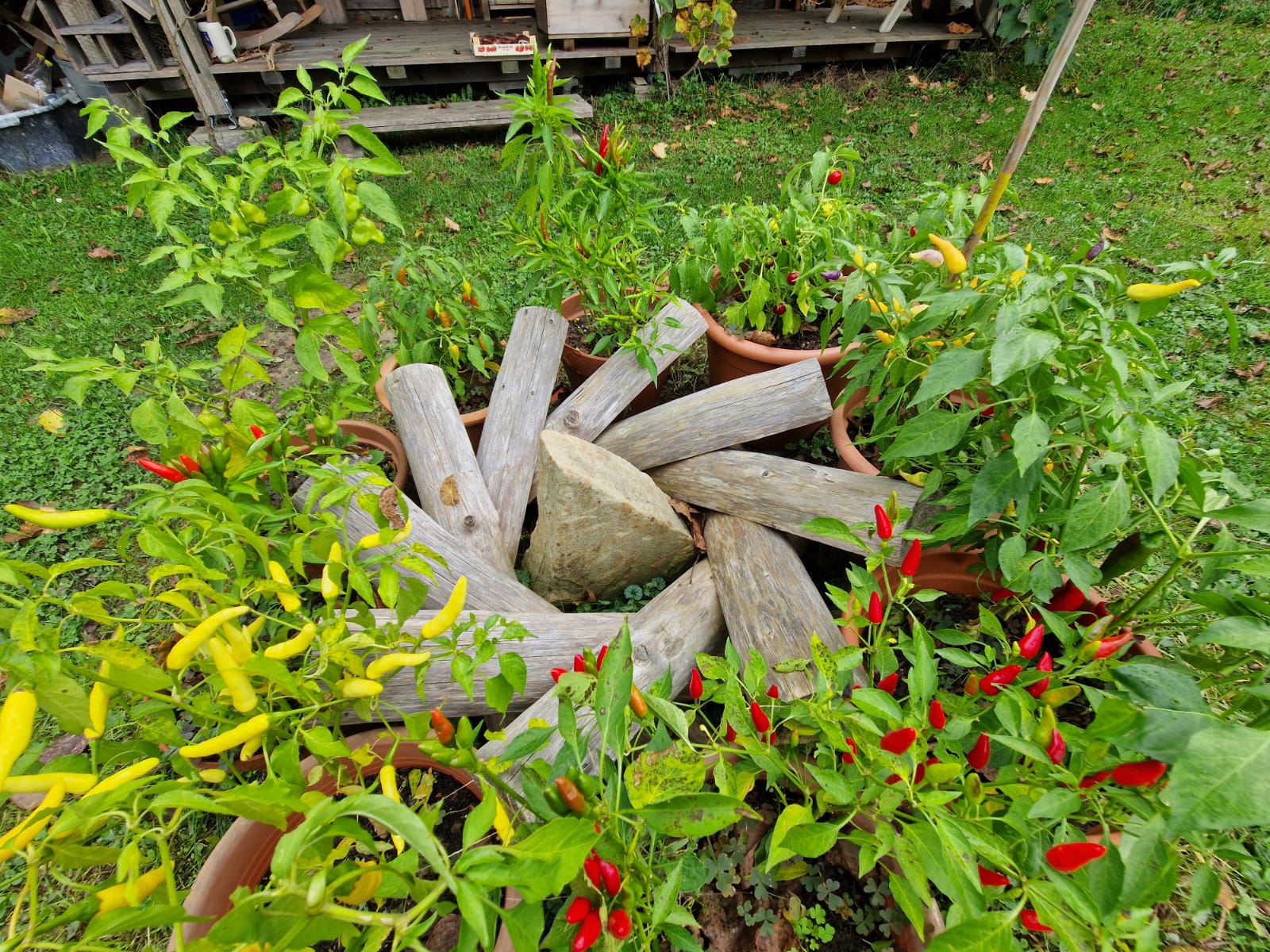 Garten 2 – Bienenbaum